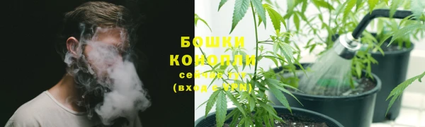 твердый Абаза