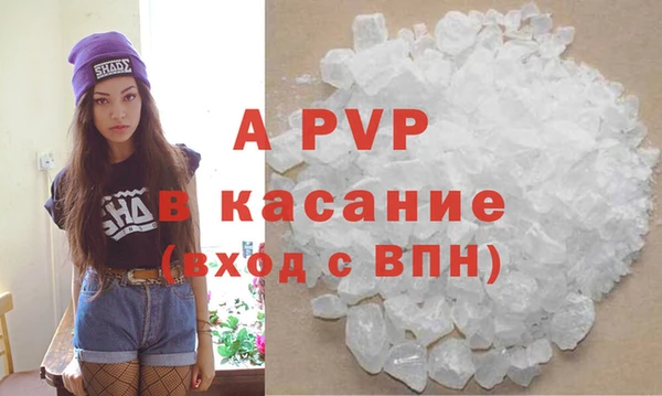 твердый Абаза