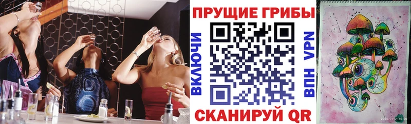 продажа наркотиков  darknet наркотические препараты  Псилоцибиновые грибы Psilocybe  Дербент 